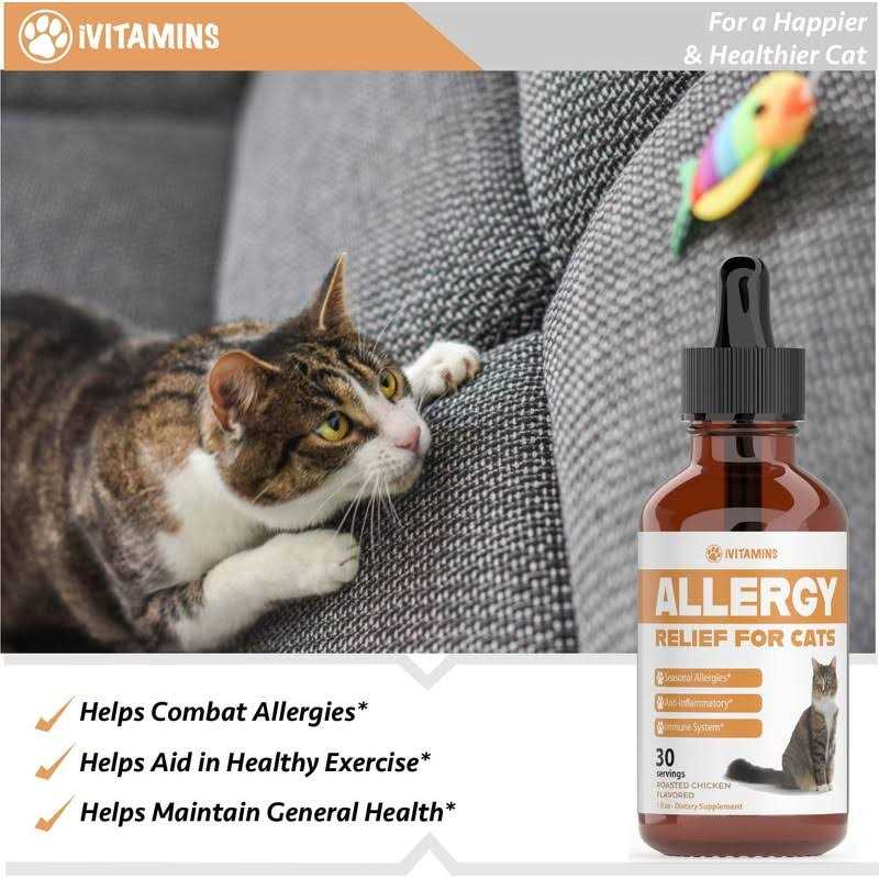 Allergy Relief for Cats H356
