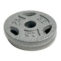 10 lb Standard 1 Weight Plate Set (2.5 lb x 4) L3605