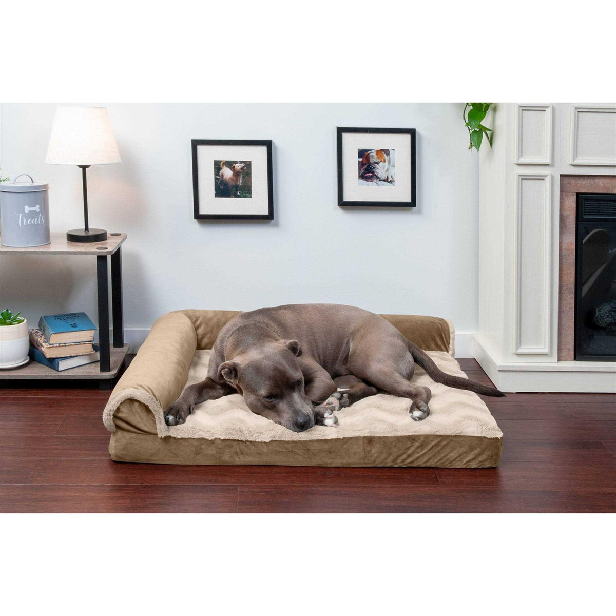 Velvet Chaise Lounge Dog Bed N566