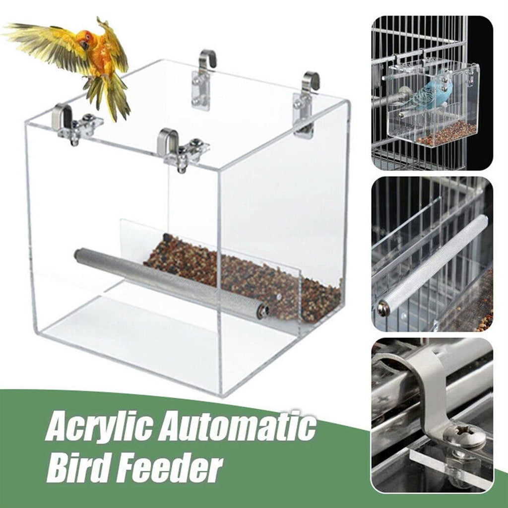 Automatic Bird Feeder Acrylic V536