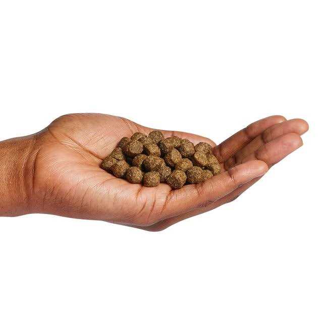 Dog Food U52690