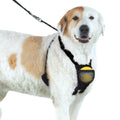 Dog Harness M7497