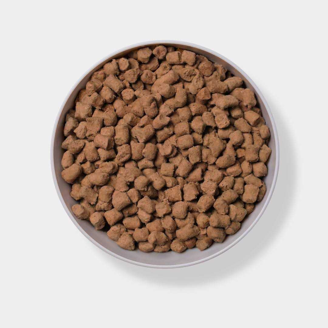 Freeze Dried Raw Beef Dog Food R134165