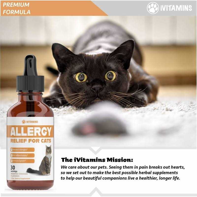 Allergy Relief for Cats H356