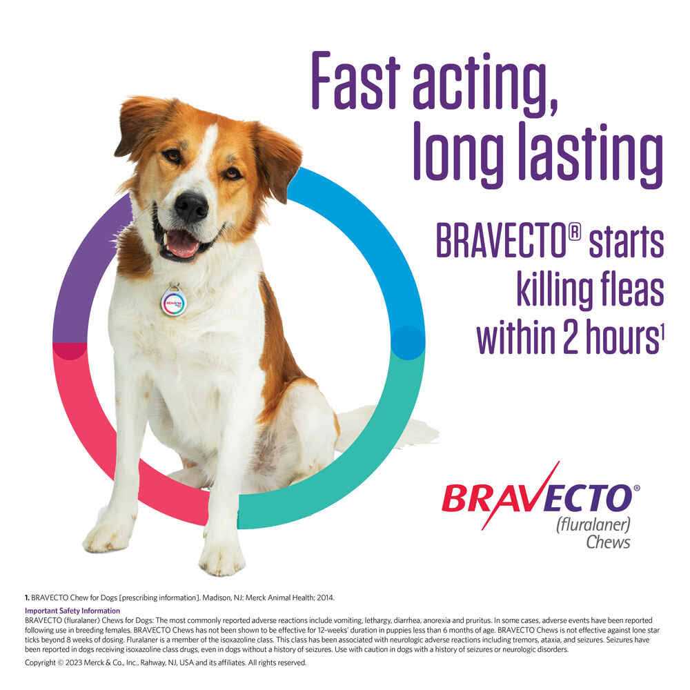 Bravecto Chews for Dogs I623131