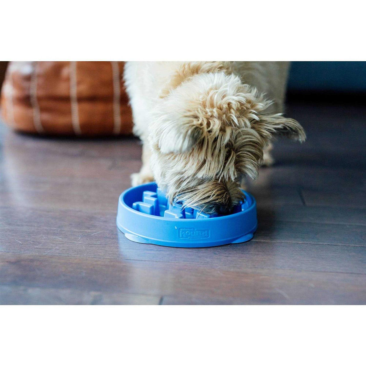 Fun Feeder Bowl M939598