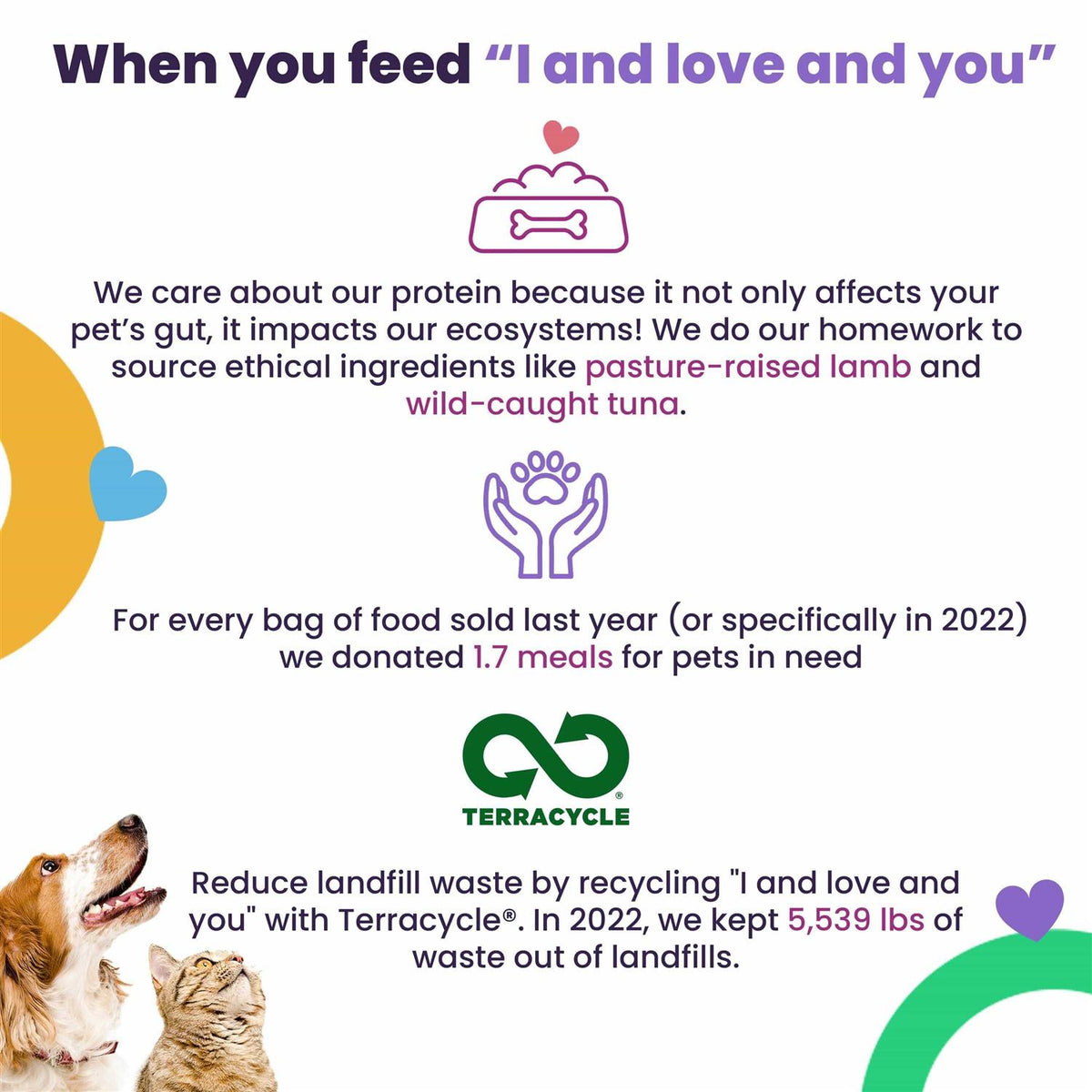 Chicken & Pumpkin Dry Cat Food E47679