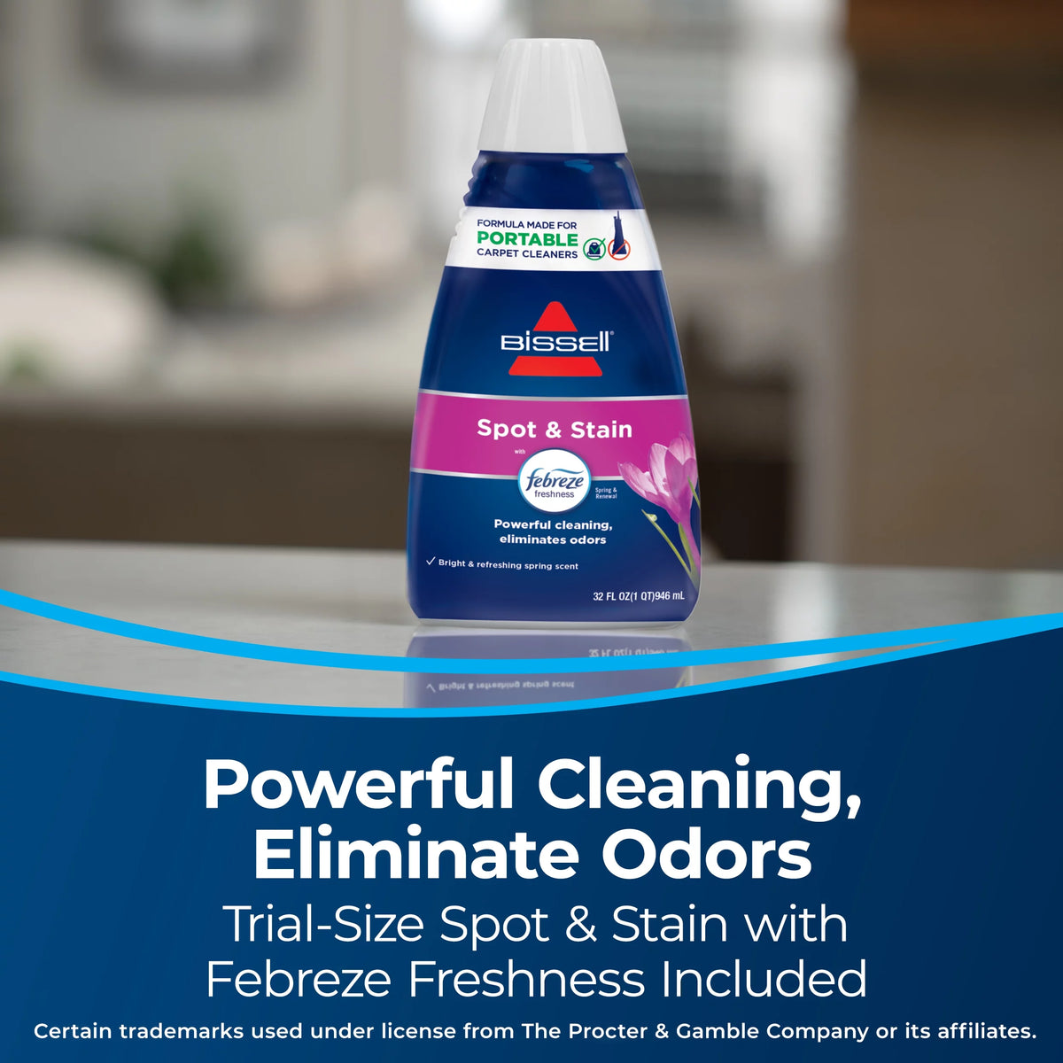 Portable Spot and Stain Cleaner S329
