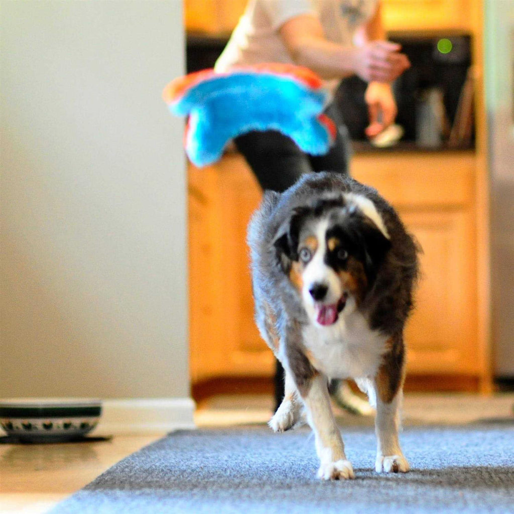 Indoor Dog Toy I84917