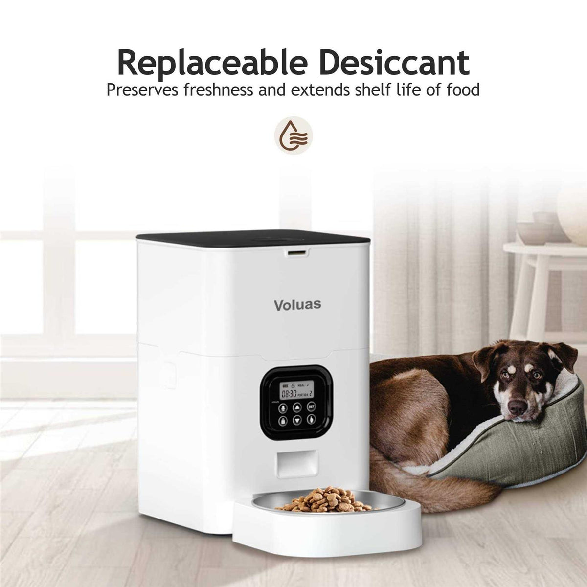 Automatic Pet Feeders T490133