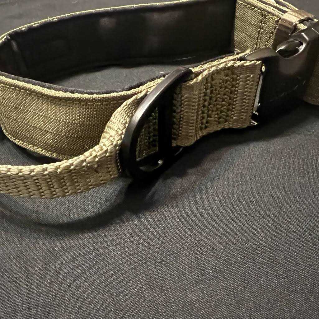 Padded Dog Collar C299