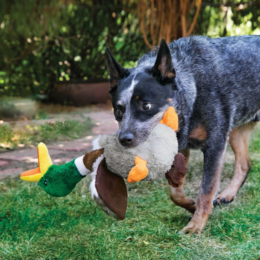 Flamingo Dog Toy Q66760