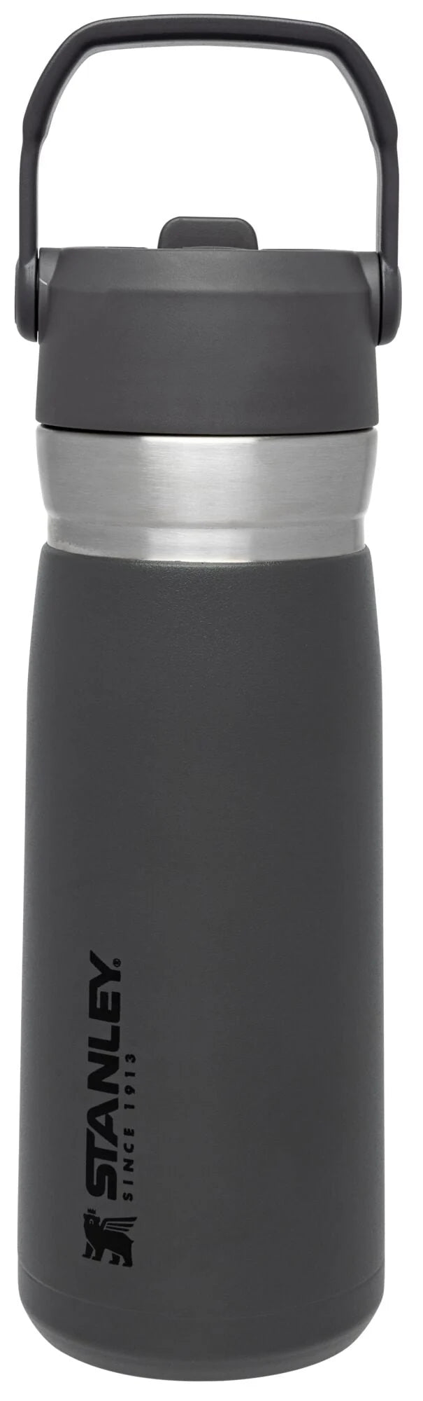 22 oz Insulated Stainless Steel Water Bottle with Straw and Flip-Top Lid E7960