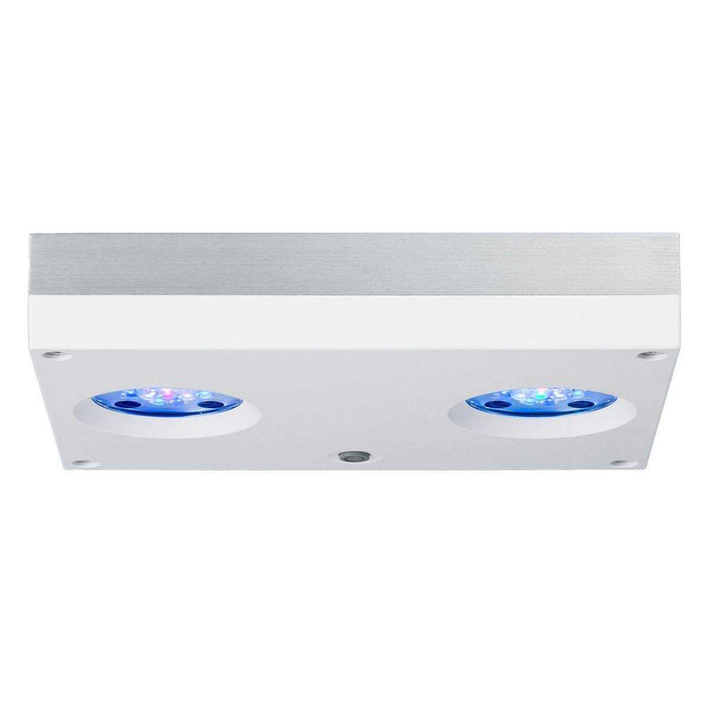 Hydra 32 HD LED T5353