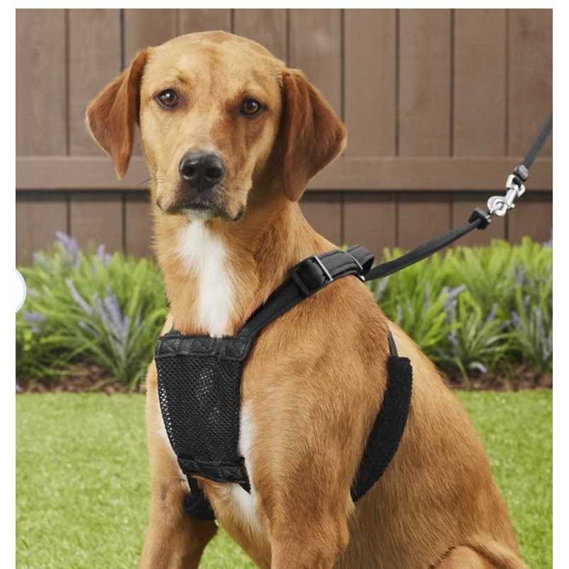 Dog Harness M7497