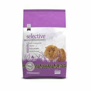 Guinea Pig Food B87923