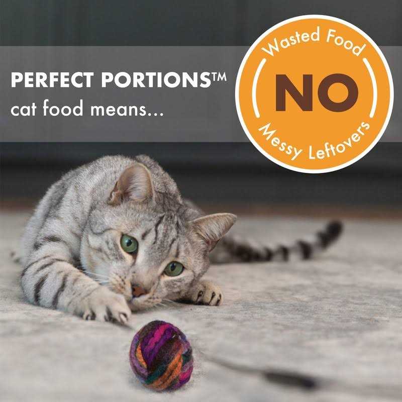Grain Free Turkey Wet Cat Food F438393