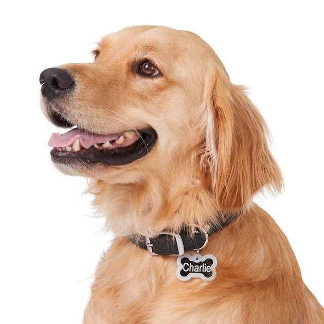 Anodized Aluminum Personalized Dog ID Tag L89211