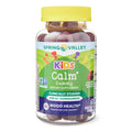 Ashwagandha Dietary Supplement Gummies, Mixed Berry, 60 Count H851360