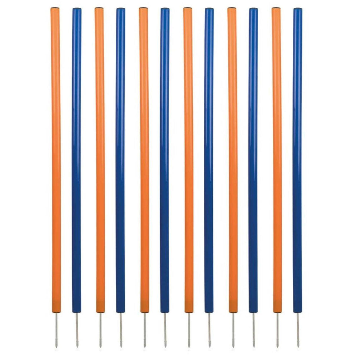 Dog Training Poles T8466