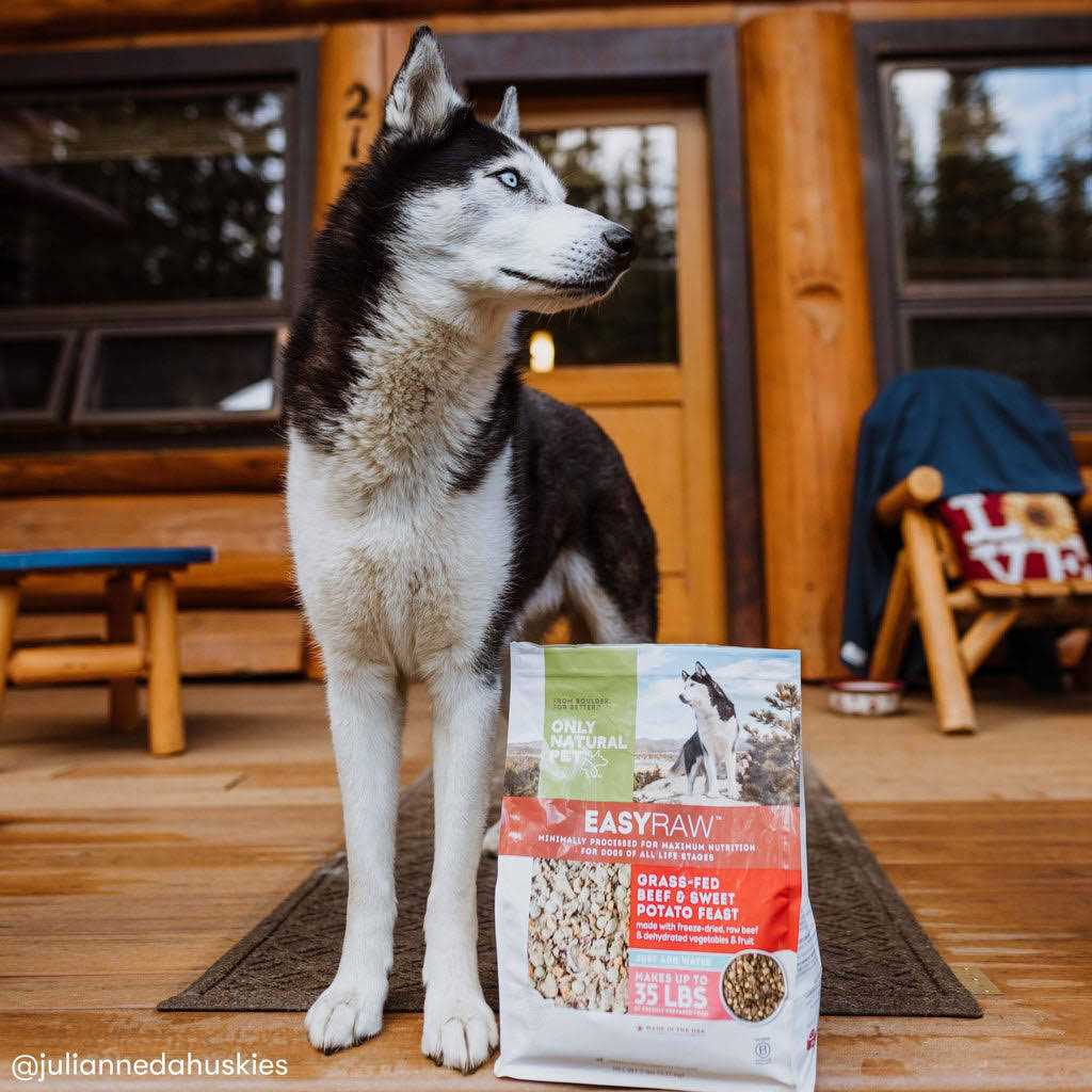 Dehydrated Dog Food B728