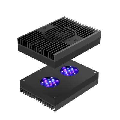 Hydra 32 HD LED T5353