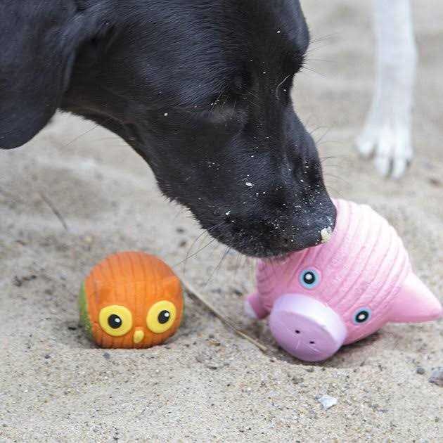 Ruff-Tex Dog Toy F549