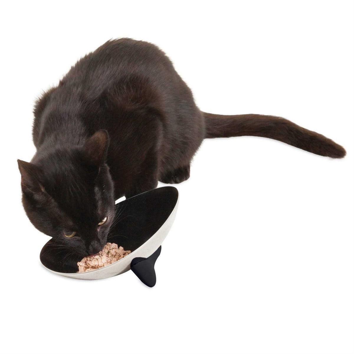 Stainless Steel Cat Bowl S86417