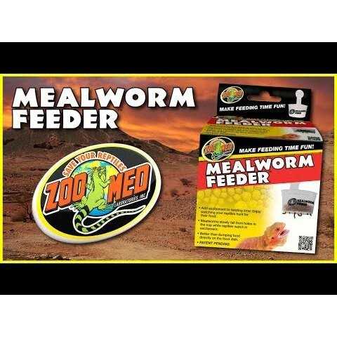 Hanging Mealworm Feeder Y77671