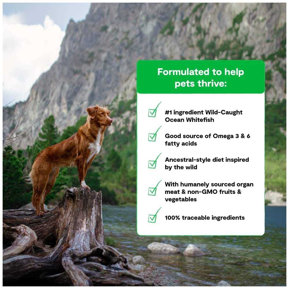 Grain-Free Dog Food T4345