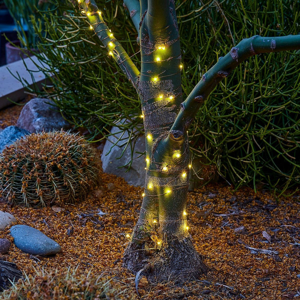 Warm White Copper Wire Lights with Remote L1309