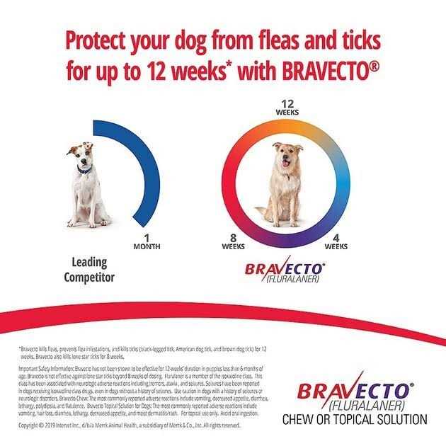 Bravecto Chews for Dogs I623131