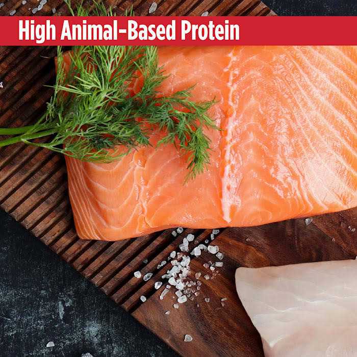 Grain Free Salmon & Sweet Potato Dry Dog Food D788