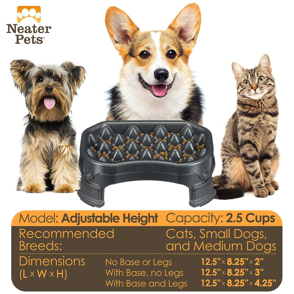 Raised Slow Feeder Dog Bowl T357