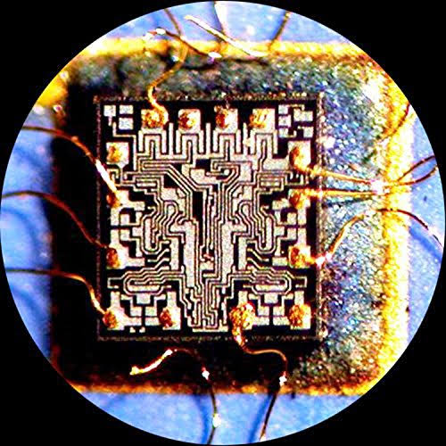 1.3 Mega Pixel USB Digital Microscope Camera P3241