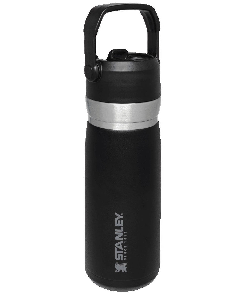 22 oz Insulated Stainless Steel Water Bottle with Straw and Flip-Top Lid E7960
