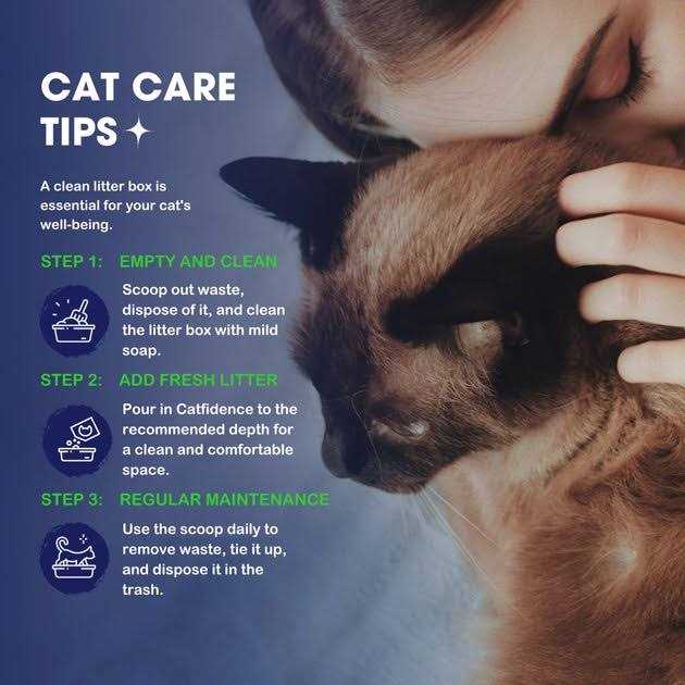 Bamboo Cat Litter C532504