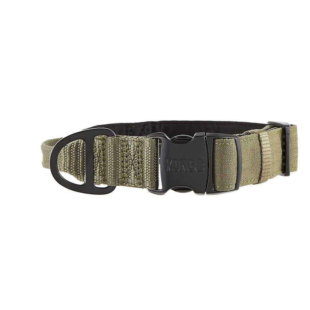 Padded Dog Collar C299