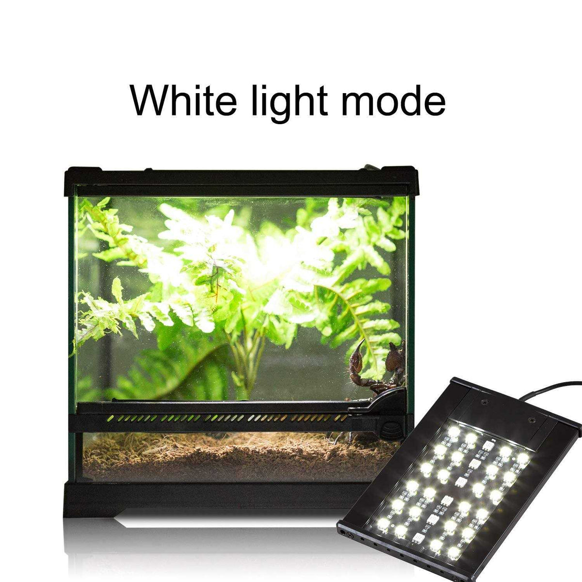Reptile LED Light Hood H944562
