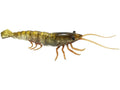 TPE Hard Shrimp R55389