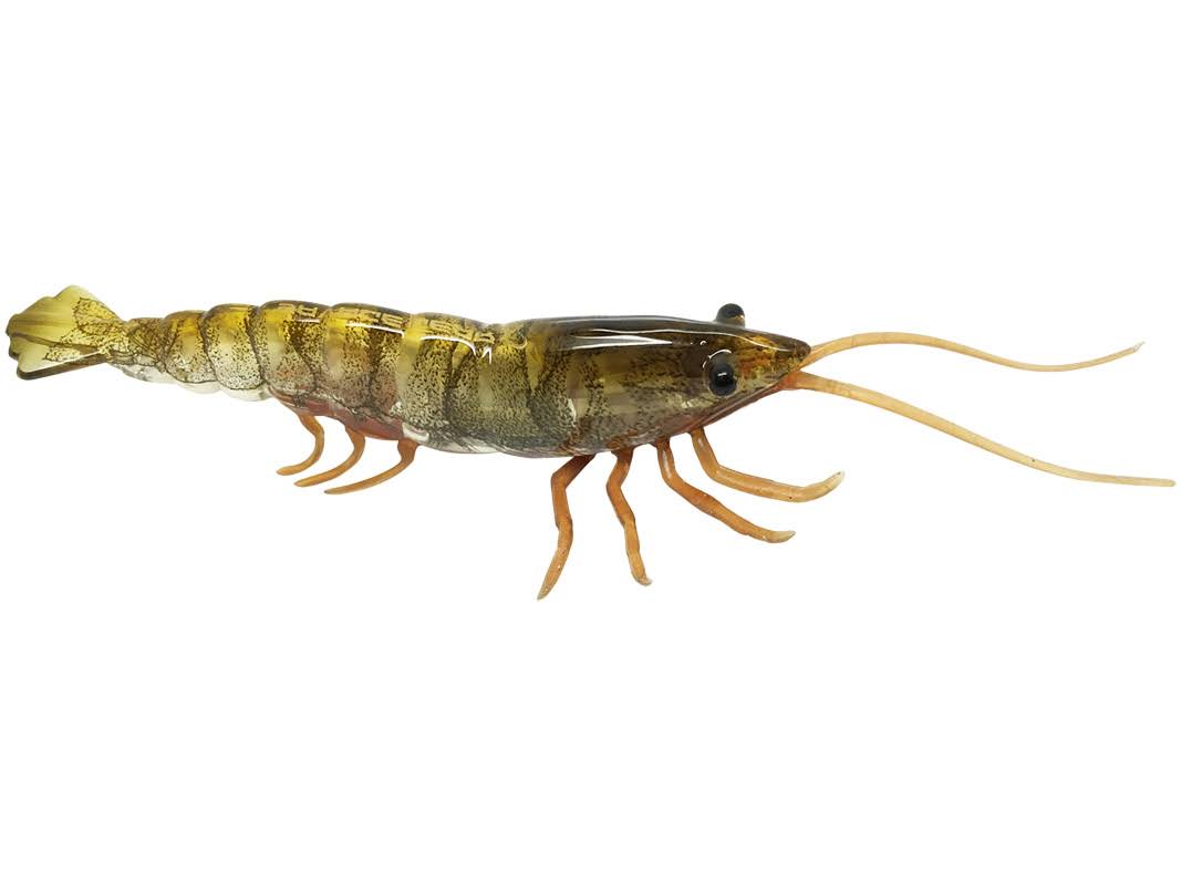 TPE Hard Shrimp R55389