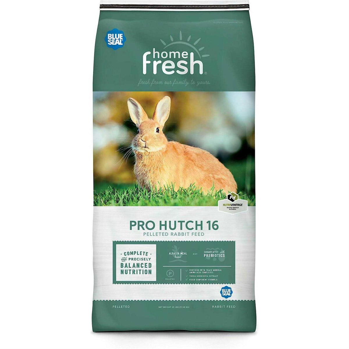 Rabbit Hutch I64767