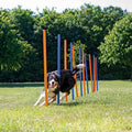 Dog Training Poles T8466