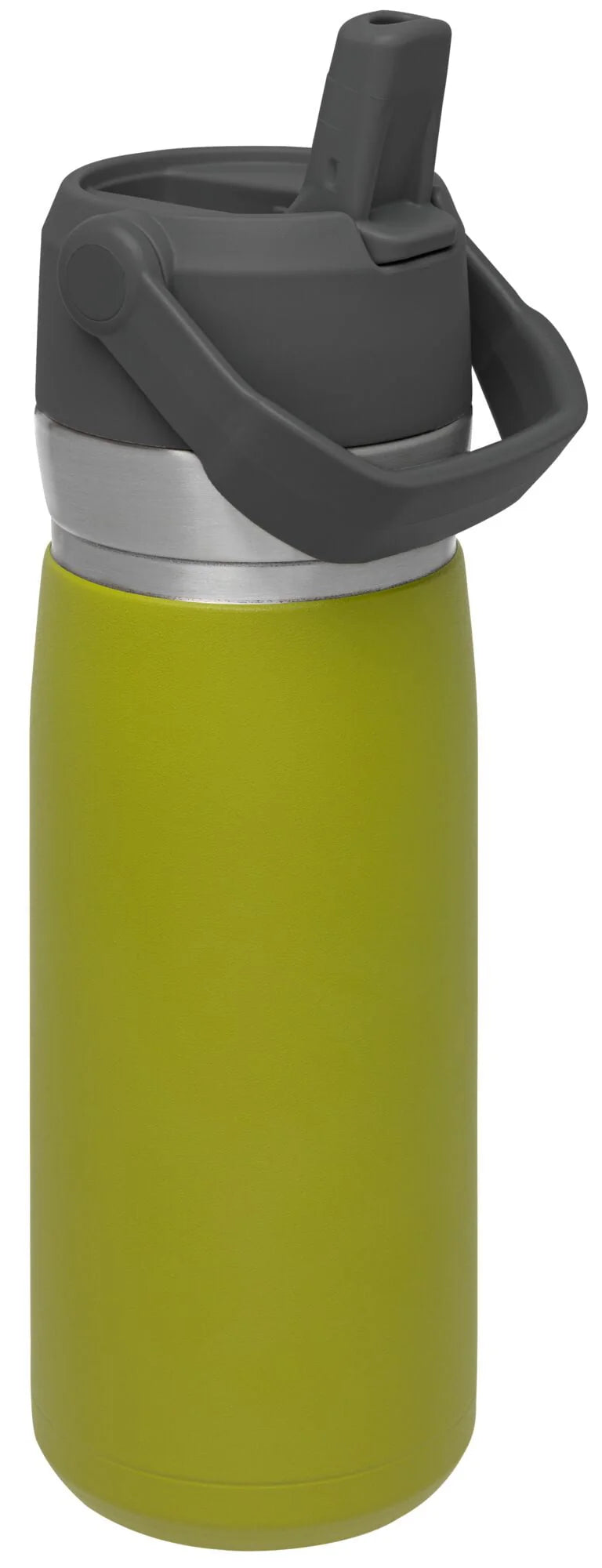 22 oz Insulated Stainless Steel Water Bottle with Straw and Flip-Top Lid E7960