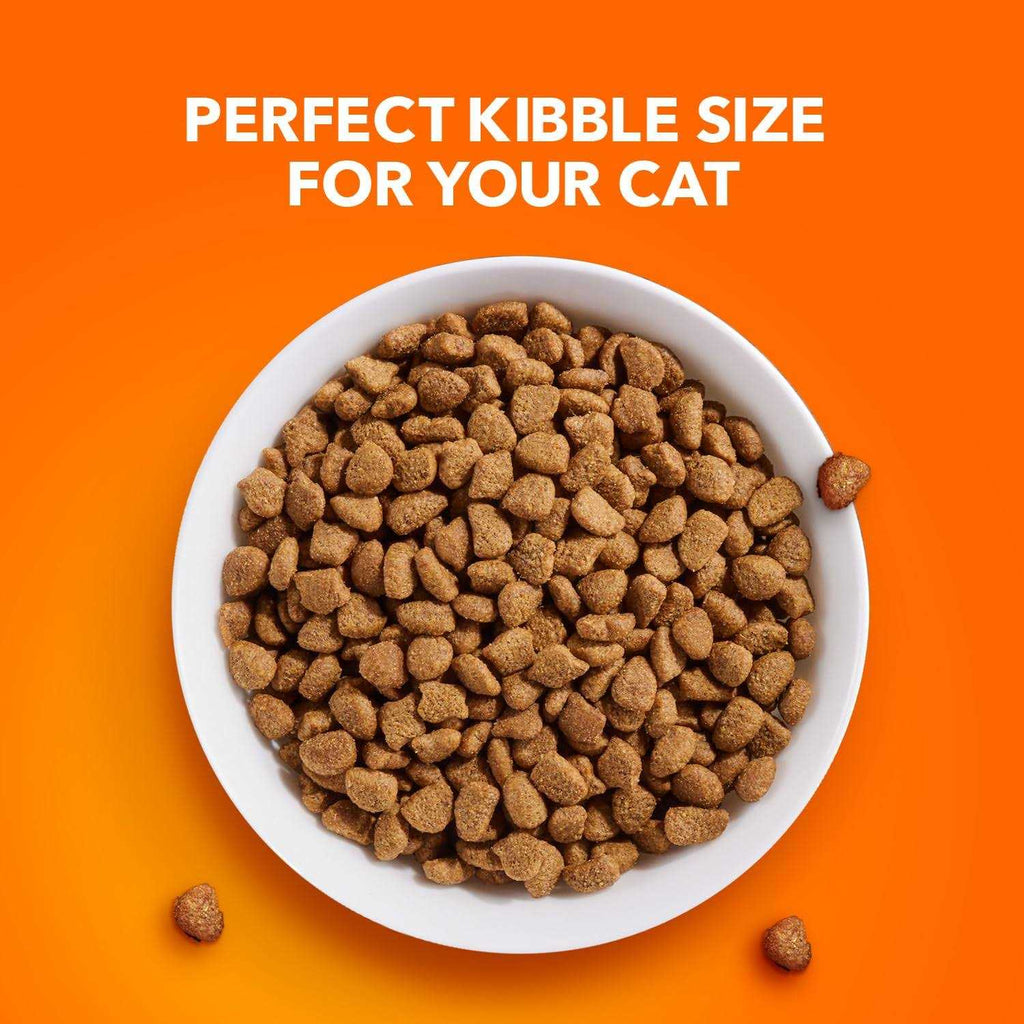 Sensitive Digestion & Skin Dry Cat Food E9825