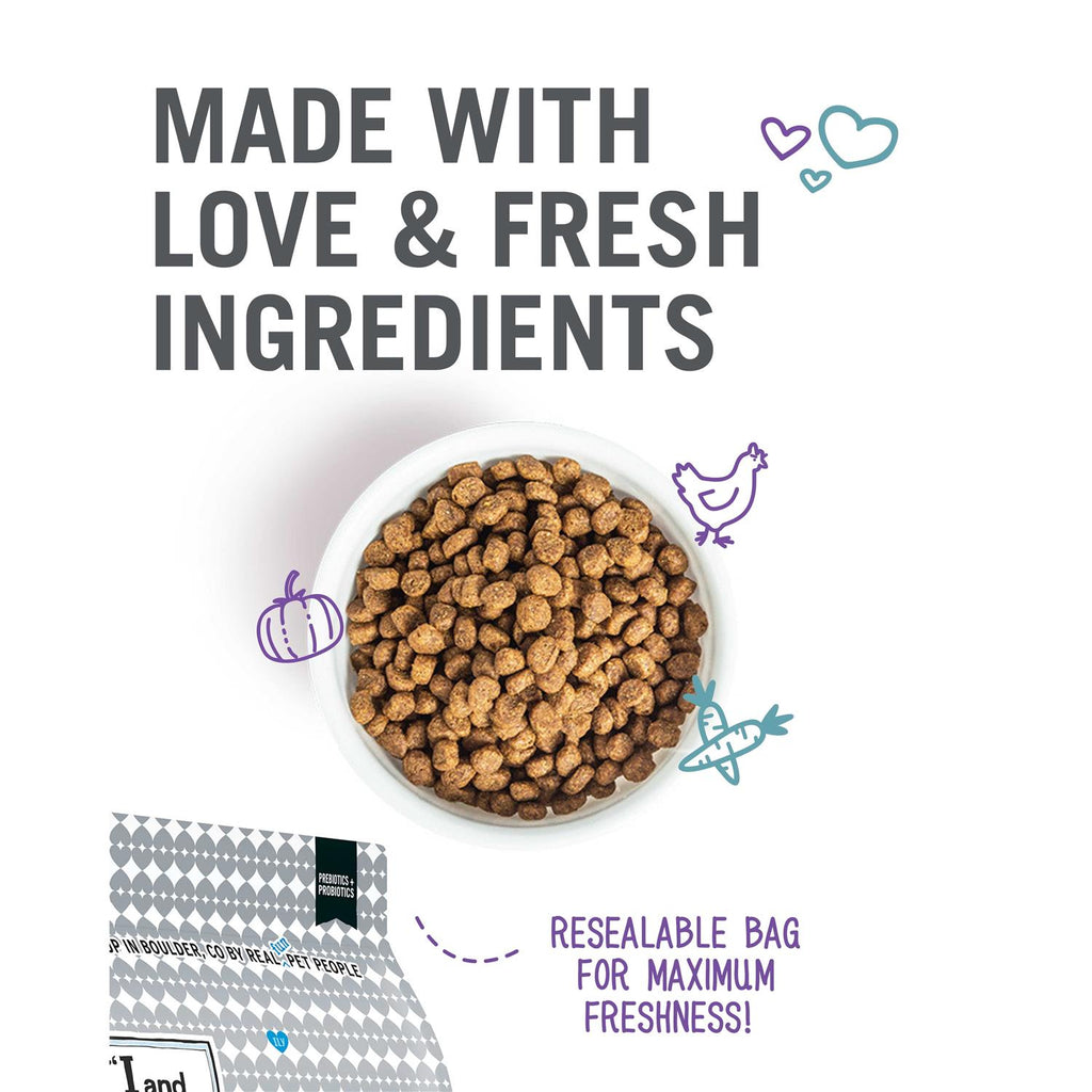 Chicken & Pumpkin Dry Cat Food E47679