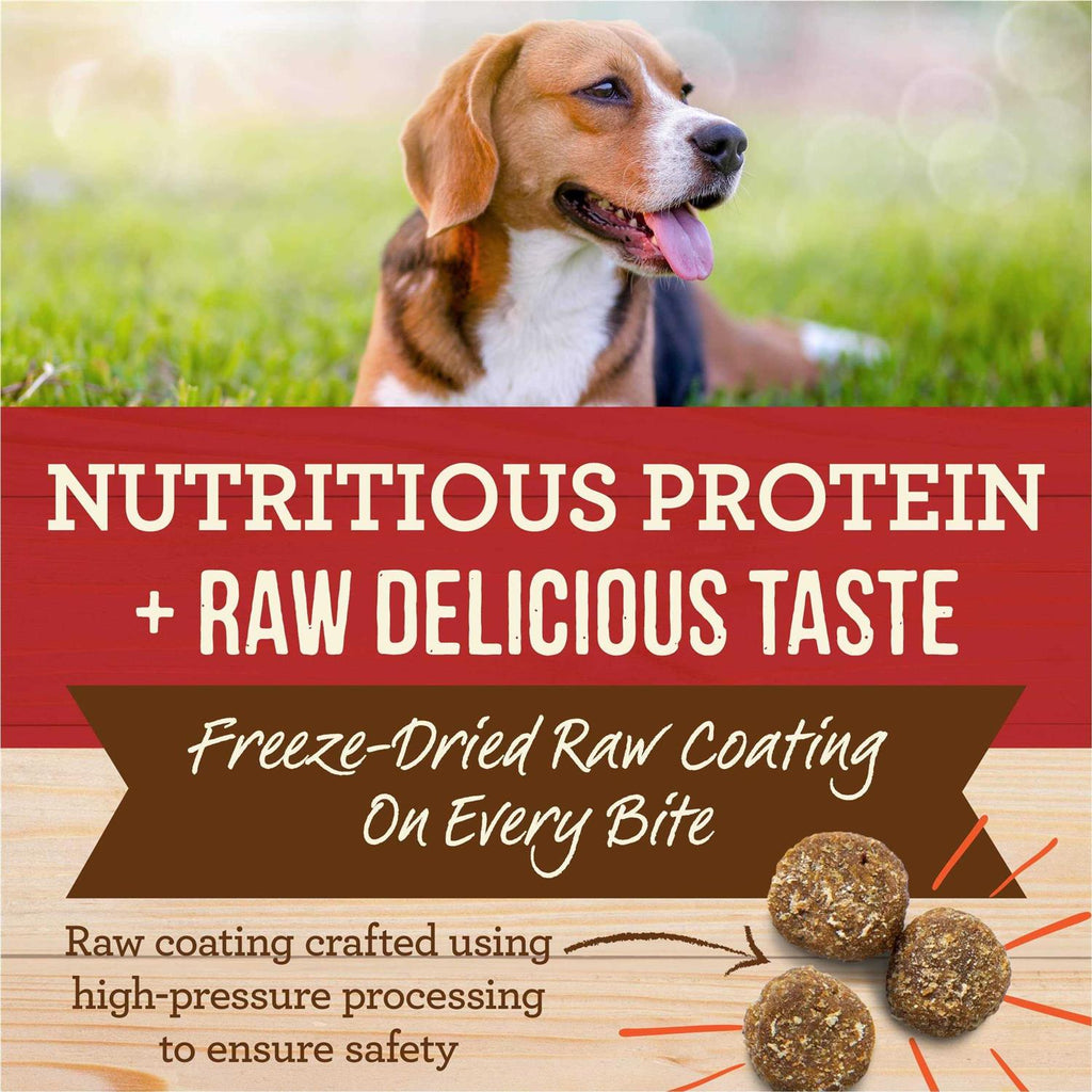 Healthy Grains Freeze Dried Raw Coated Dry Dog Food I99830
