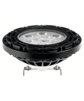 3000K Landscape LED PAR36 10W 60 Degree Black V817258