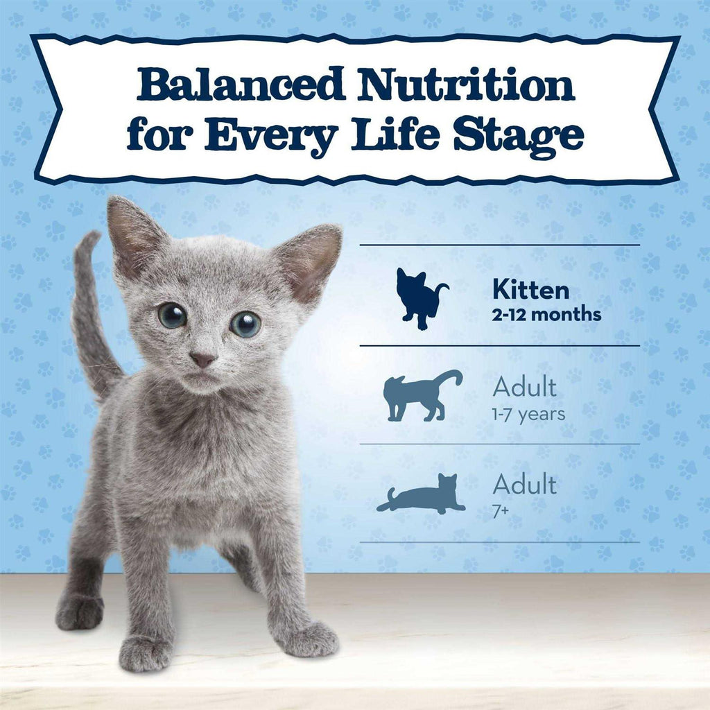 Wet Kitten Food F2017