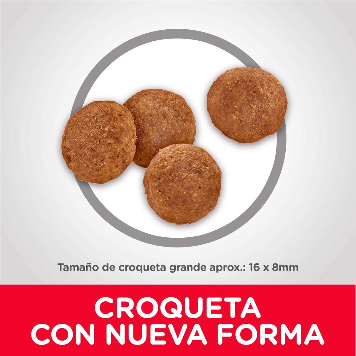Chicken & Barley Recipe Large Breed Dry Dog Food L2329